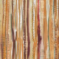 dsStella-DFN3643 Multi